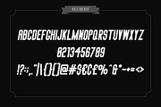 Big Stem Type Family, a Sans Serif Font by BorisG (Thumbnail 7 of 14)