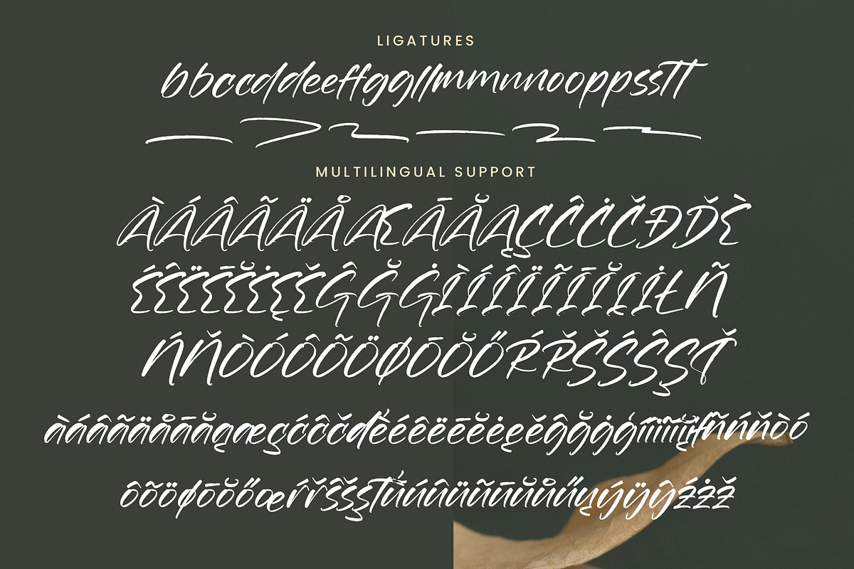 Goldeny Battiely Modern Brush Font, a Handwritten Font by operatype.co (Photo 9 of 10)