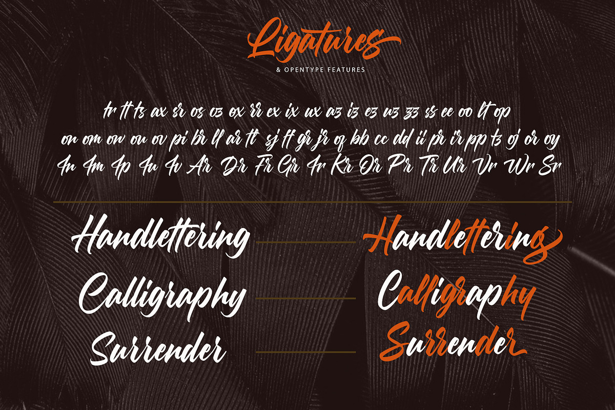 Morning Glory, a Script Font by NUGS (Photo 10 of 10)