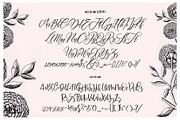 Maldina Feminime (4 fonts), a Script Font by Fortunes Co (Thumbnail 7 of 10)