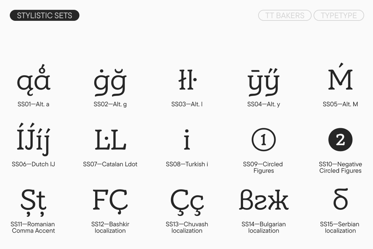 TT Bakers, a Serif Font by TypeType (Photo 14 of 15)
