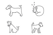 Cute doodle dogs (big collection), an Animal Illustration by Liz Pengilley Studio (Thumbnail 11 of 23)