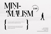 Charles - Chic Ligature Serif Font, a Serif Font by SilverStag Type Foundry (Thumbnail 20 of 31)