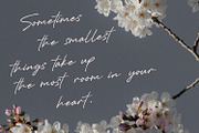 Mustineos Kedisyom Chic Feminine, a Script Font by Maulana Creative (Thumbnail 6 of 7)