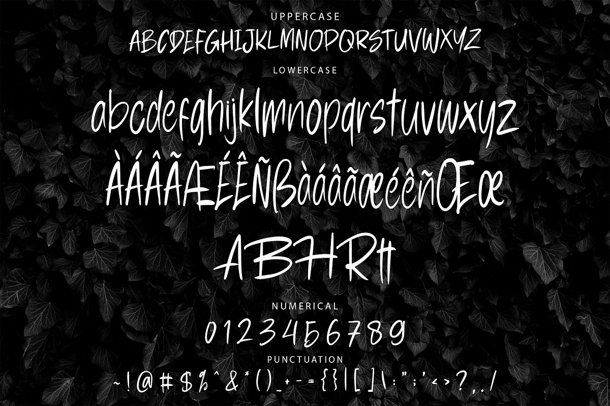 WESMBOH Handwriting Font, a Handwritten Font by NTC Graphic (Photo 8 of 9)