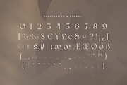 Agare - Branding Luxury Font, a Serif Font by Sensatype (Thumbnail 11 of 12)