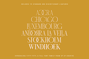 Fifty Fifty Complete Family, a Serif Font by Up Up Creative (Thumbnail 7 of 15)