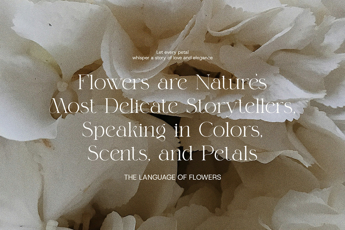 Magich Elegant Serif Font, a Serif Font by Perfectype (Photo 6 of 8)