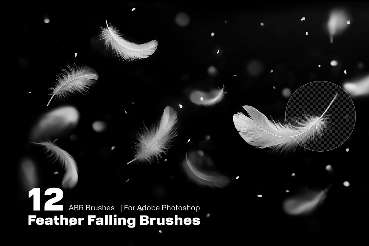 Feather Falling PS Brush v1, a Brush Add-On by INTENTFX (Photo 1 of 6)