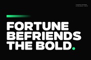Gunterz Rounded, a Sans Serif Font by Locomotype (Thumbnail 2 of 13)