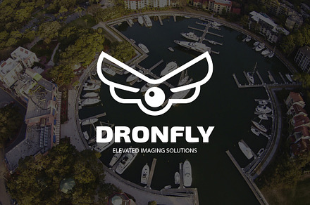 Dronefly Logo