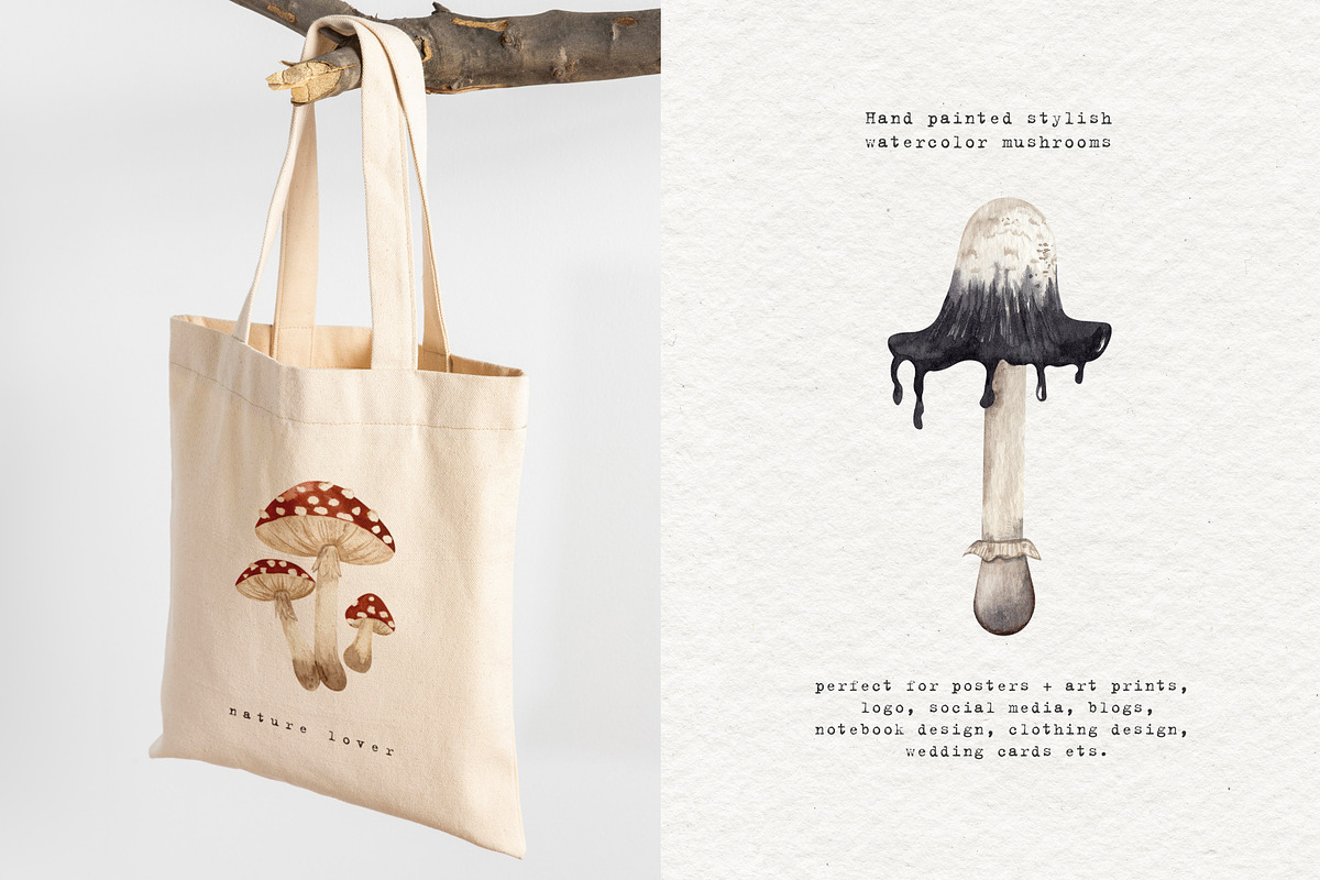 Mushrooms Watercolor Clipart, an Education Illustration by Ooh Lily (Photo 3 of 8)