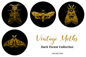 Vintage Moths Dark Forest Collection