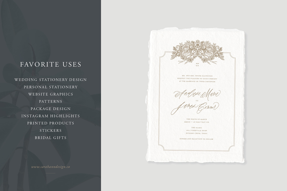 Ornate Designs: Illustration Pack, an Illustration by Sarah Ann Design (Photo 5 of 7)