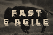 Brute, a Sans Serif Font by Deadbolt Design Lab (Thumbnail 5 of 5)