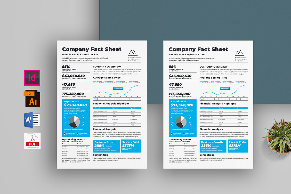 Company Fact Sheet | Word & Indesign, a Flyer Template by obayes (Photo 1 of 3)