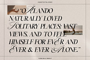 Silver Garden - Nostalgic Font Duo, a Serif Font by SilverStag Type Foundry (Thumbnail 20 of 26)