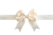 Bows Shiny Satin Ribbon Png, an Object Graphic by VetalStock (Thumbnail 3 of 4)