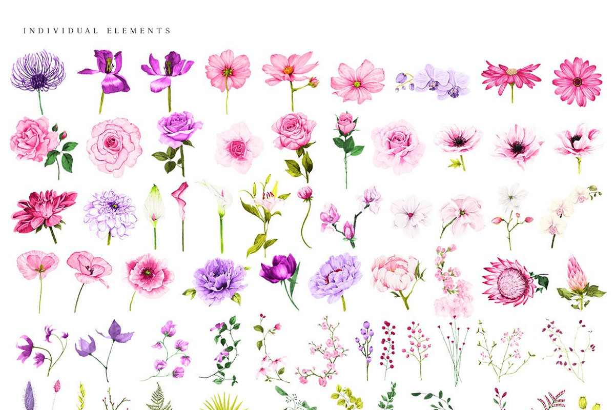 Ultimate Flower & Leaf Collection, an Object Graphic by Pretty Little Lines (Photo 22 of 47)