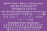 VOGUER Sans Italic, a Sans Serif Font by NREY (Thumbnail 5 of 6)