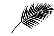 Stylish tropical palm wall decor, an Illustration by Amazin_art (Thumbnail 30 of 33)