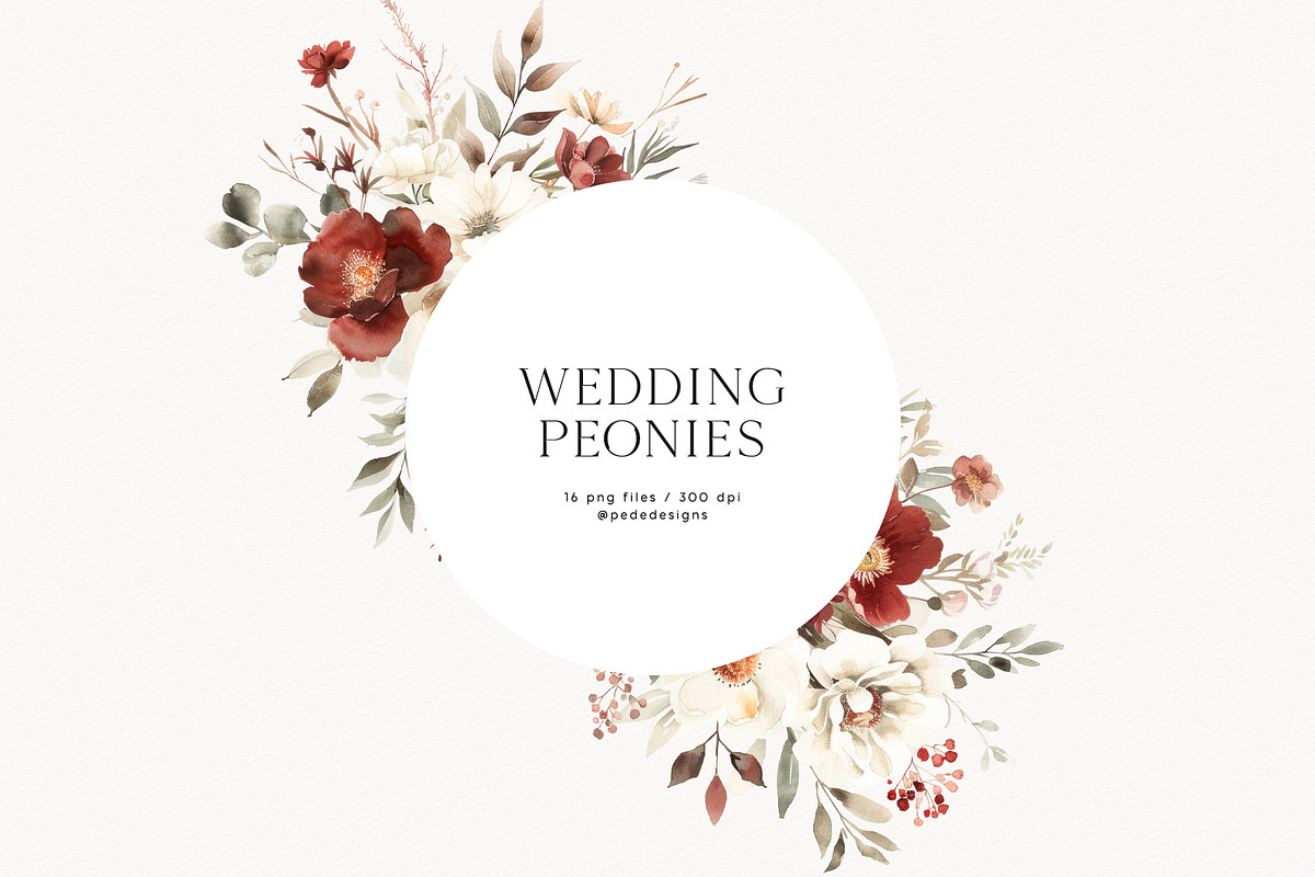 Wedding Peonies, a Decorative Illustration by PeDe Designs (Photo 5 of 10)