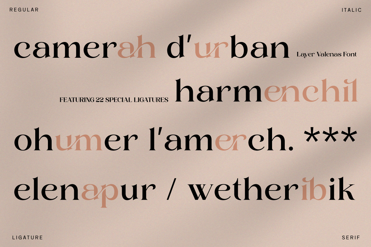 Luxury Ligature Font - Layer Valenas, a Serif Font by Say Studio (Photo 6 of 10)