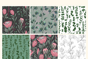 Protea flowers and eucalyptus sketch, an Illustration by irina.vaneeva (Thumbnail 6 of 12)