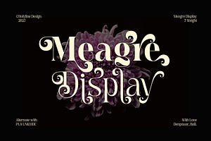 Meagre Display - 90s  Serif Family