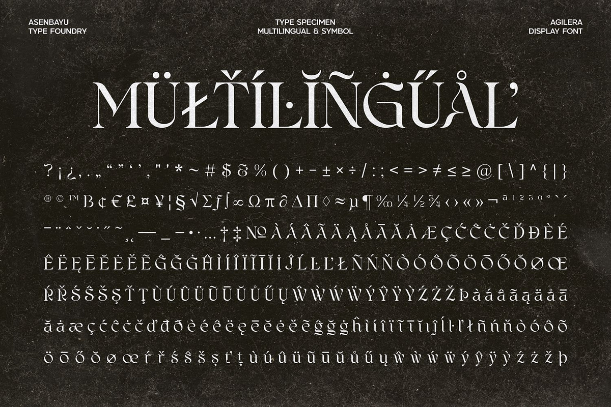Agilera - Stylish Ligature Font, a Serif Font by Asenbayu (Photo 14 of 15)