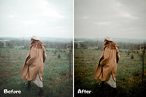 True Tone Lightroom Presets XMP/DNG