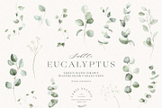 Watercolor Eucalyptus Green Floral, a Decorative Illustration by Veris Studio (Thumbnail 20 of 20)