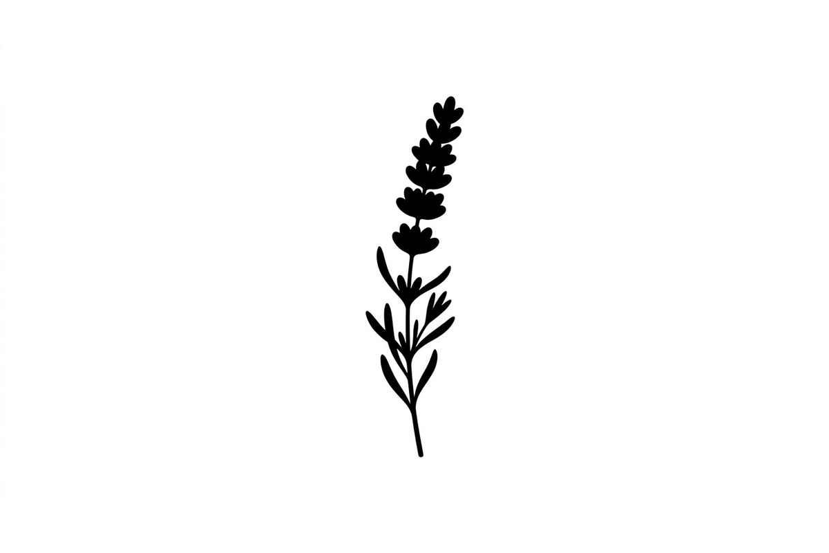 Lavender Flower Silhouette Set, an Object Graphic by Designer_Momina (Photo 2 of 3)