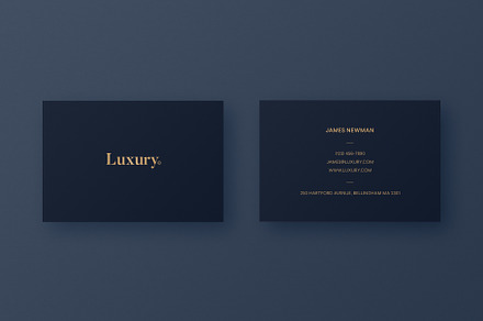 Luxury Business Card L3