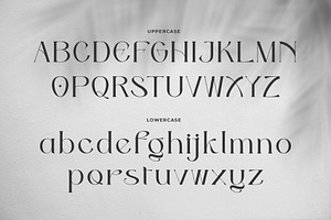 Odena Glamour - Modern Serif