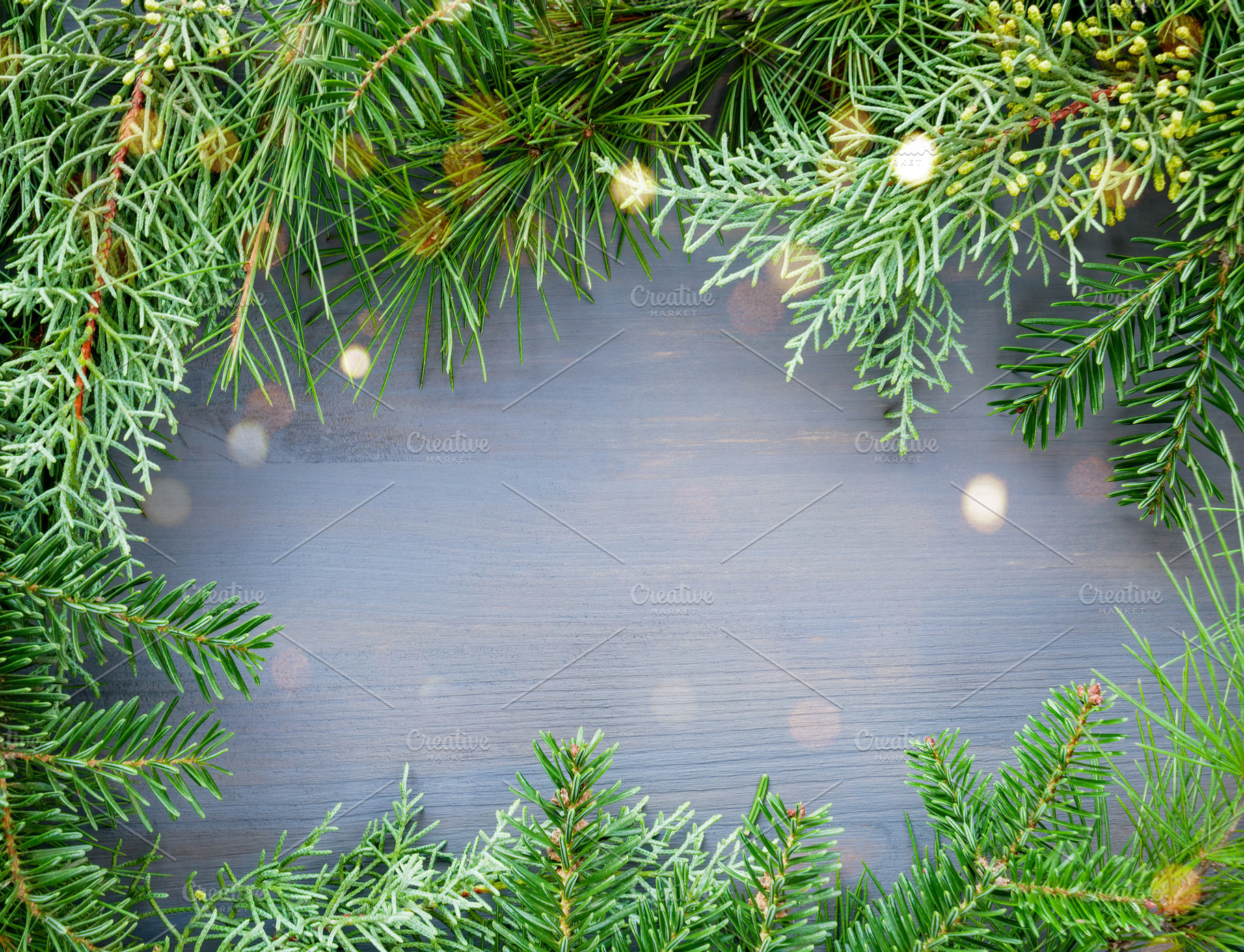 Pine and fir tree branches frame, a Background Photo by MarBom
