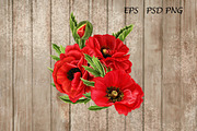 Set. Red poppies, an Illustration by SokolovaSv (Thumbnail 3 of 4)