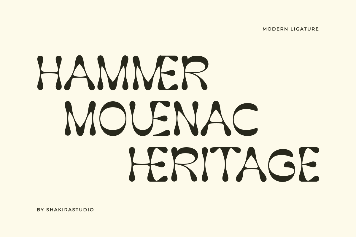 Rackind - Unique Display Font, a Serif Font by Shakira Studio (Photo 5 of 11)