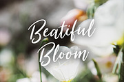 Summer Festival Typeface, a Script Font by Mats-Peter Forss (Thumbnail 4 of 7)