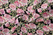 Watercolor Garden Rose Patterns, a Pattern Graphic by Jeanna Draw (Thumbnail 7 of 12)