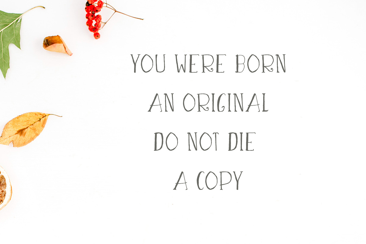 Asma Brush 3 Font Family Pack preview 4