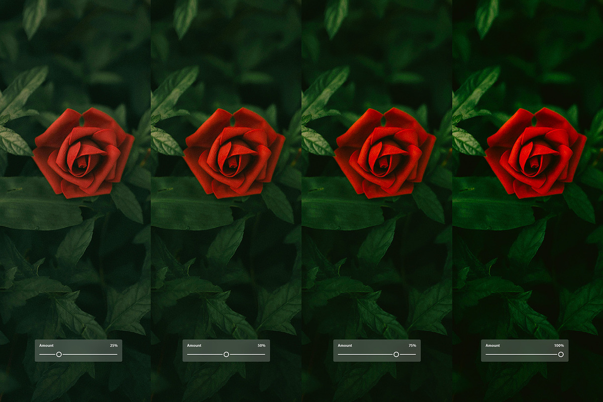 Fuji Fortia SP, a Preset Add-On by colorituals (Photo 2 of 8)