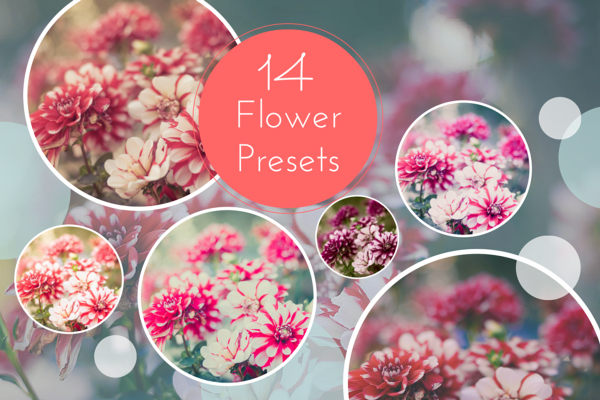 Pretty Flower Preset Bundle, a Plug-in Add-On by Jana Mänz Photography (Photo 4 of 5)