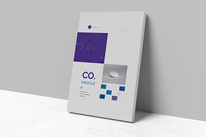 Company Profile