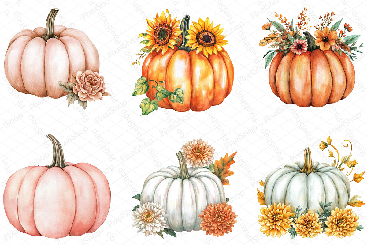 Autumn Flower Clipart, Fall Pumpkin, an Illustration by DreamPrint404 (Photo 5 of 5)