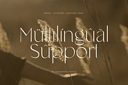 Noah - Elegant Ligature Font, a Serif Font by Sensatype (Thumbnail 14 of 19)