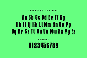Neue Gustland Modern Condensed Font, a Sans Serif Font by QR Design Studio (Thumbnail 7 of 13)