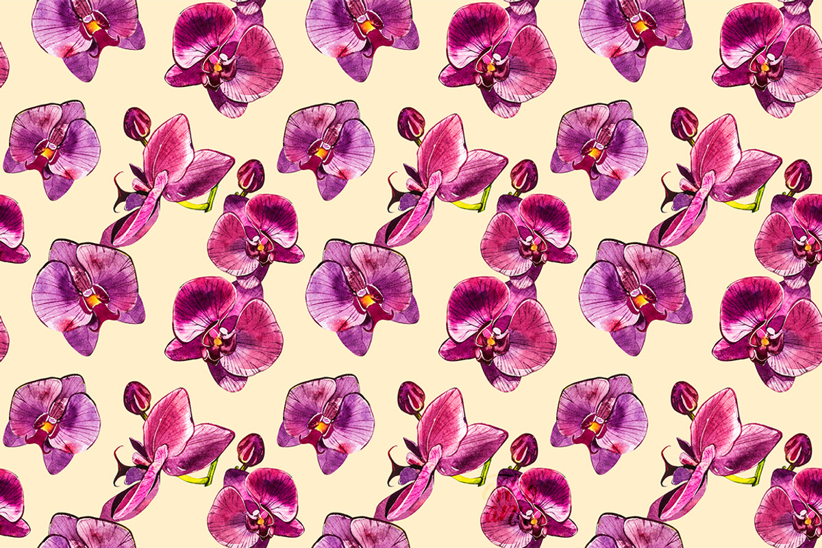 Orchids branch in botanical style, a Decorative Illustration by Ann Astro (Photo 5 of 15)