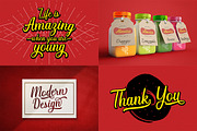 The Premium Creation Font Bundle, a Serif Font by Megatype (Thumbnail 40 of 56)