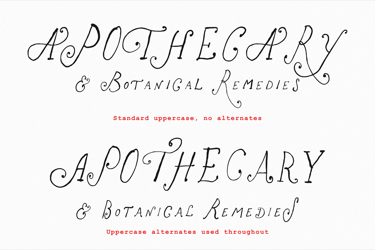 The Rose Atelier// Hand drawn Font, a Handwritten Font by PeachCreme (Photo 4 of 15)